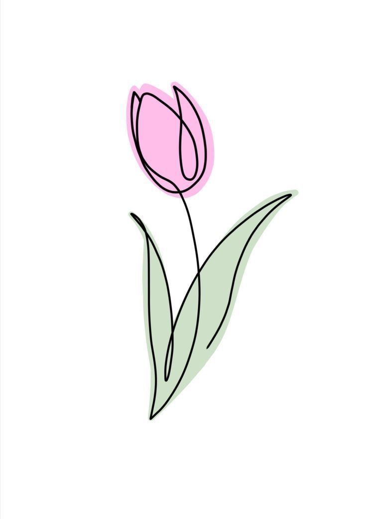 a drawing of a pink tulip on a white background