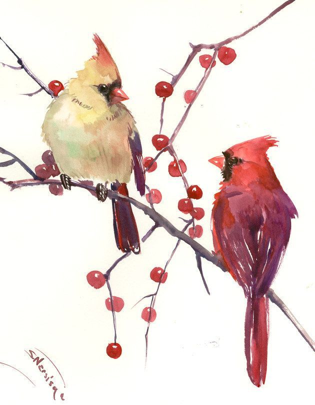 two birds are sitting on a branch with berries