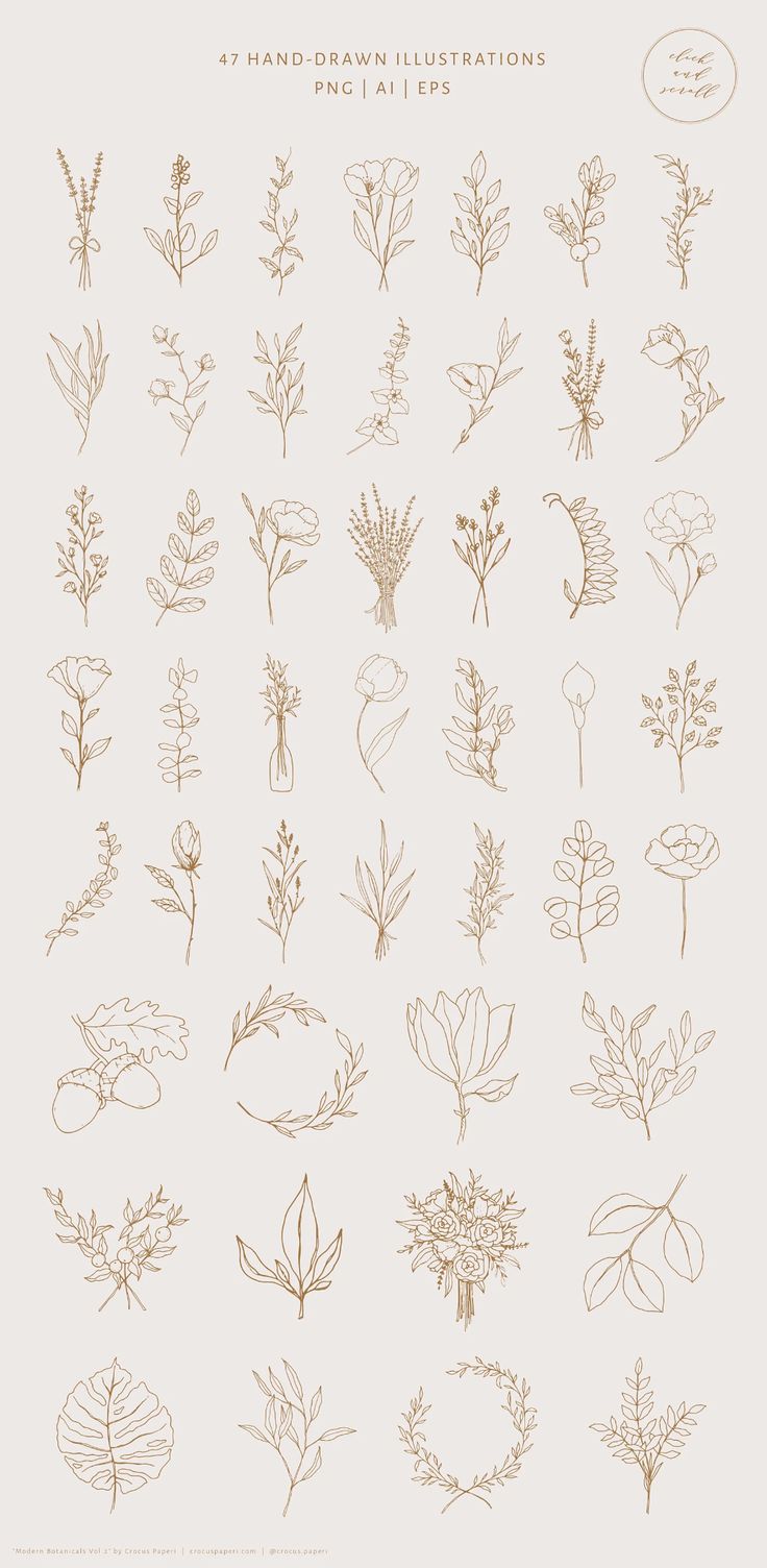 an image of various flowers and plants drawn by hand