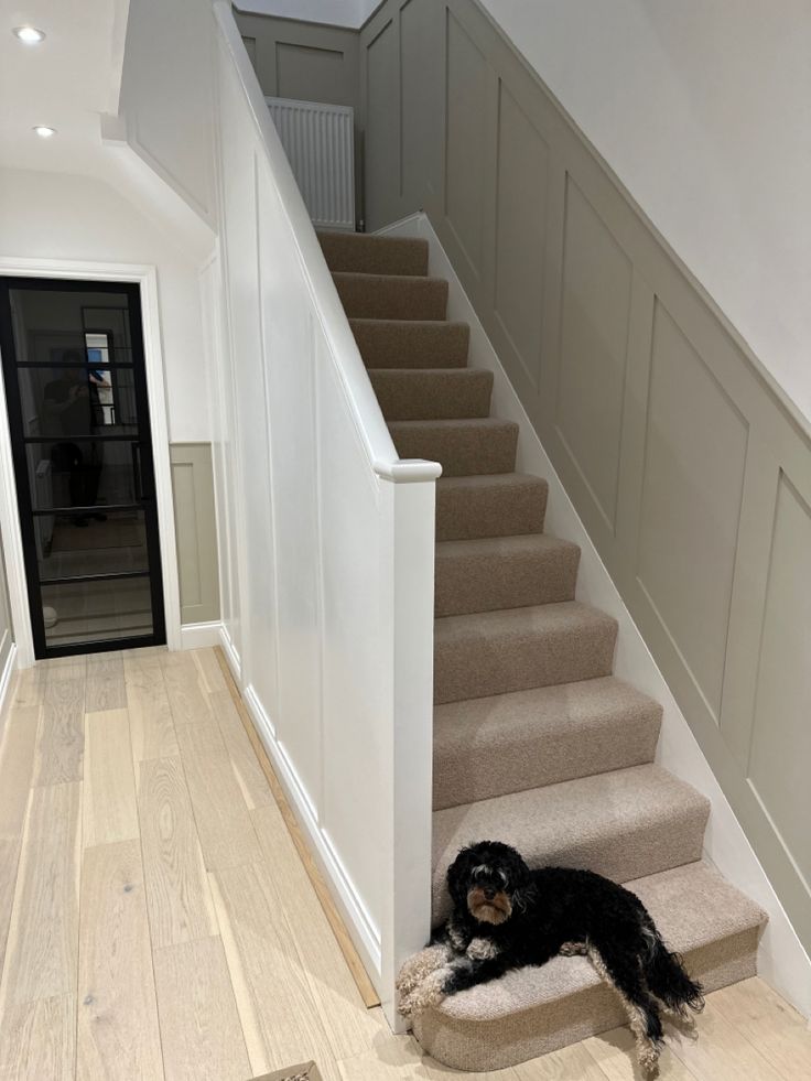 a dog is laying on the carpeted stairs in front of an open door and staircase