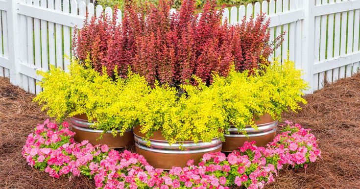 colorful flowers are arranged in pots on the ground next to a white picket fence with an arrow pointing towards them