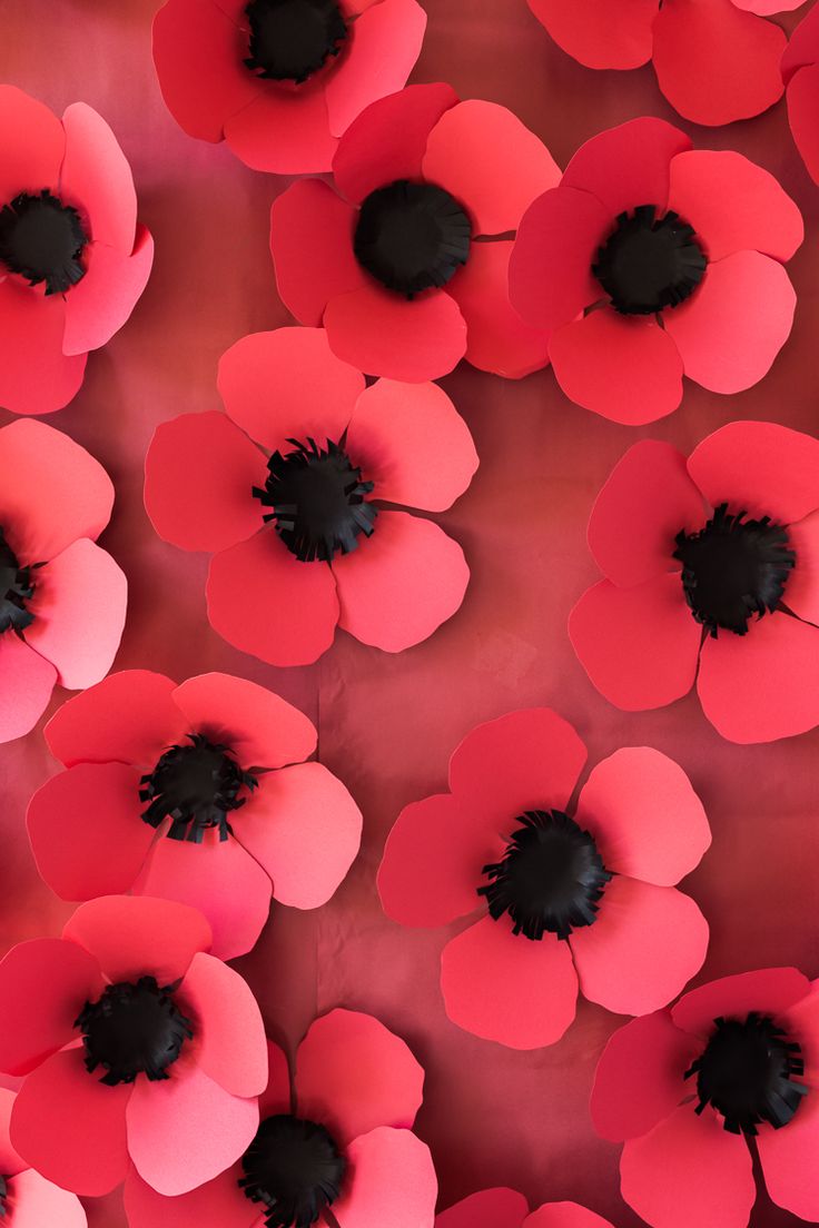 red and pink paper flowers are arranged in the shape of poppies on a red background