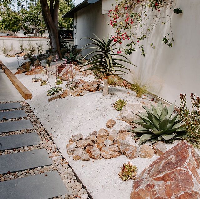 a garden with rocks and plants in front of a house