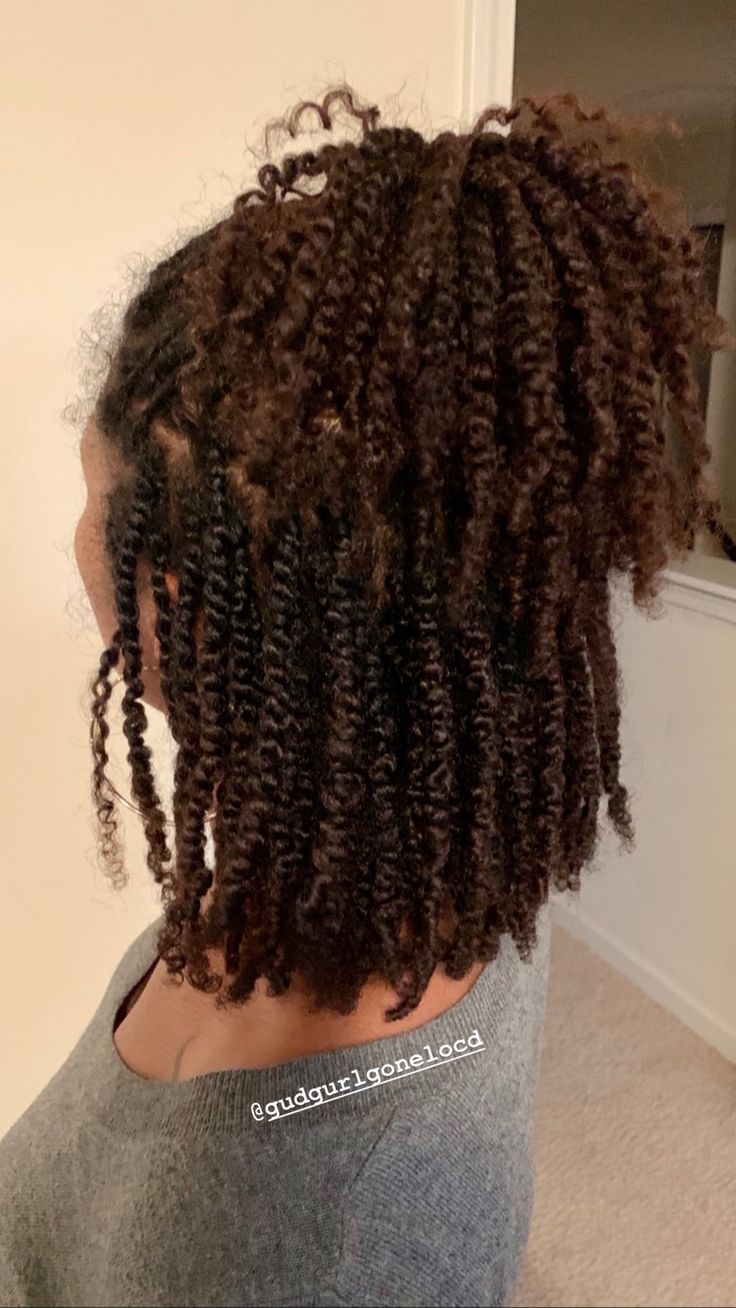 Long 4a Natural Hair, Curly Hair Routine 4a, Healthy 4a Hair, Senegalese Twist Braids, Cabello Afro Natural, Natural Hair Twists, Hair Twist Styles, Twist Braid Hairstyles, Natural Hair Styles Easy