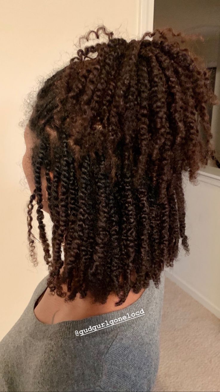 Cabello Afro Natural, Curly Short, Natural Hair Twists, Twist Braid Hairstyles, Hair Twist Styles, Natural Hair Styles Easy, Penteado Cabelo Curto, Natural Hair Braids, Natural Hair Tips