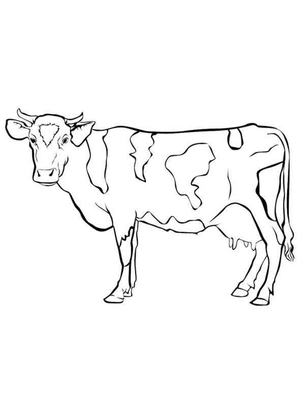 a black and white drawing of a cow standing in front of a white background,