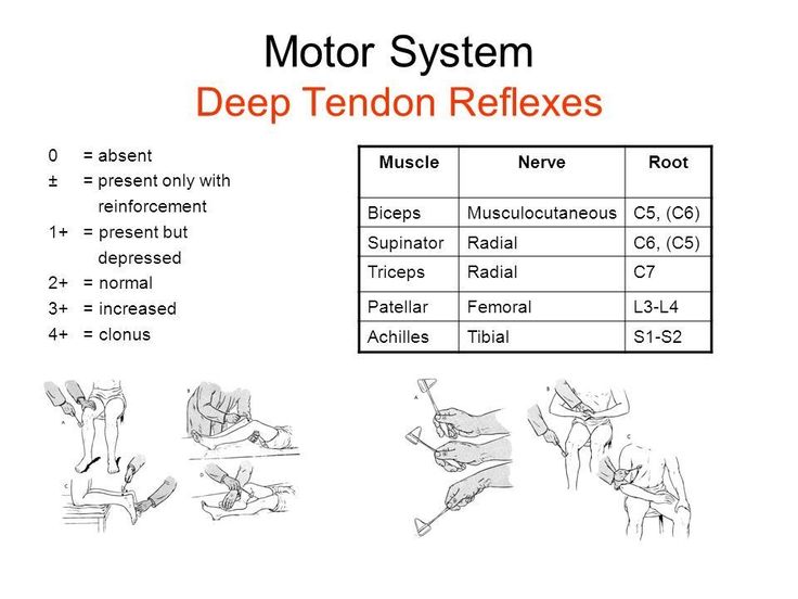 a table with instructions for how to use the motor system