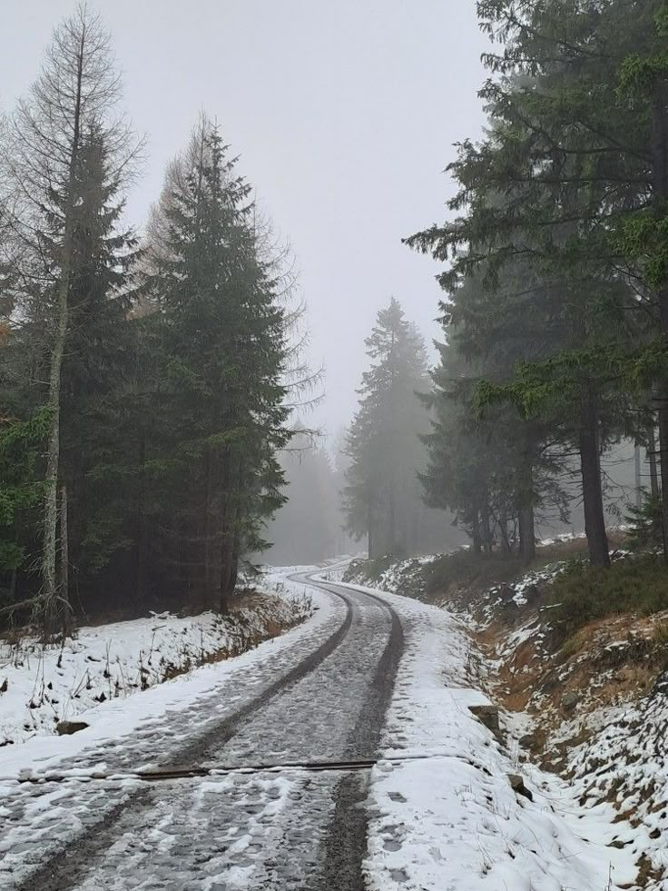 a snow covered road in the middle of a forest with trees on both sides and foggy skies above