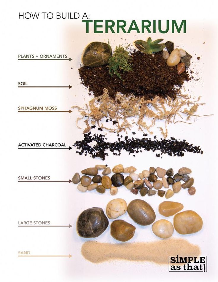 an image of how to build a terrarium with rocks and dirt on the ground