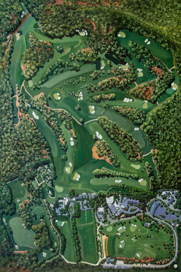 an aerial view of a golf course in the woods