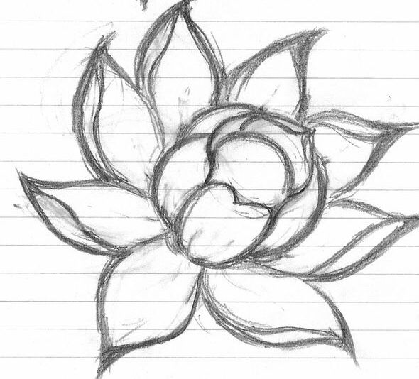 a drawing of a flower with leaves on it's side and the words, how to draw a lotus