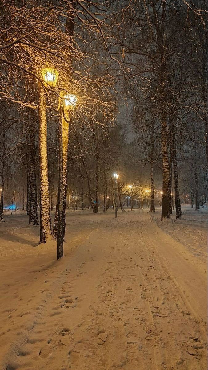 a snow covered park at night with trees and street lights in the distance, on a snowy day