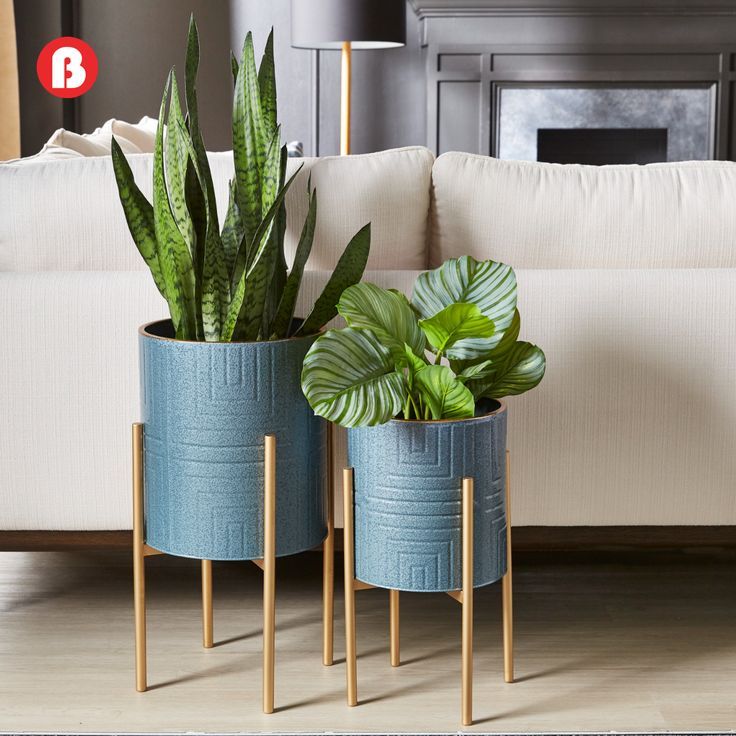 two blue planters sitting next to each other on top of a wooden floor in front of a white couch