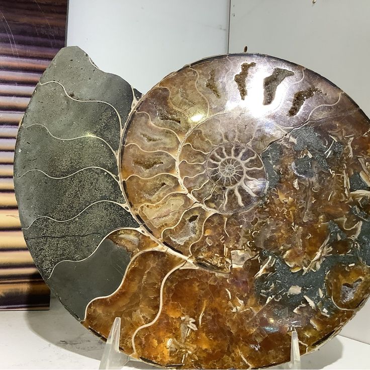 two metal plates sitting next to each other on a white counter top in front of a window