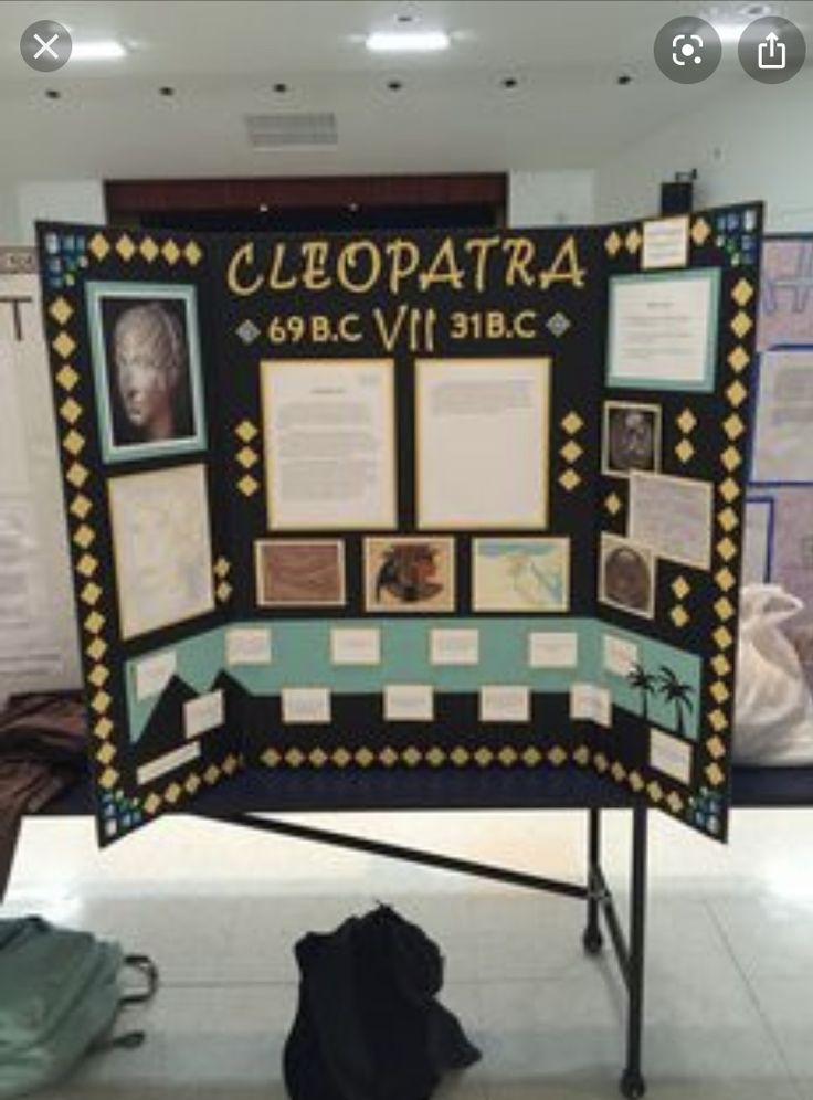 a display with pictures and information on it