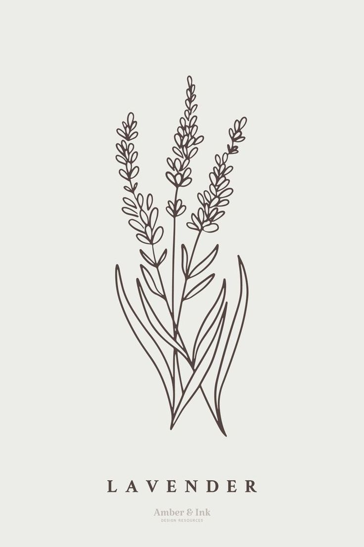 the lavender logo is shown on a white background with black lines and flowers in it