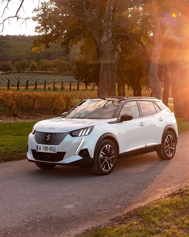 a white car parked on the side of a road next to a tree and grass field