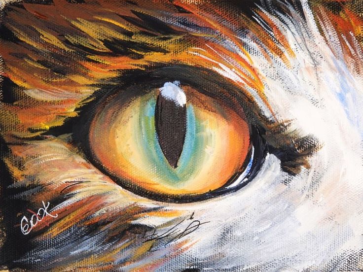 a painting of an orange and white cat's eye