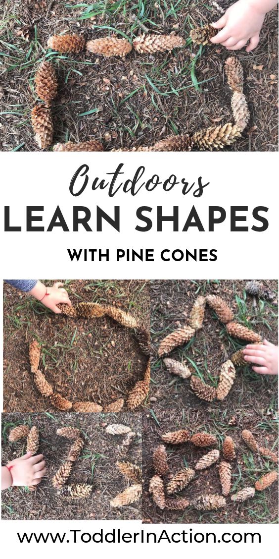 an outdoor learn shapes with pine cones and the title overlay reads outdoors learn shapes with pine cones