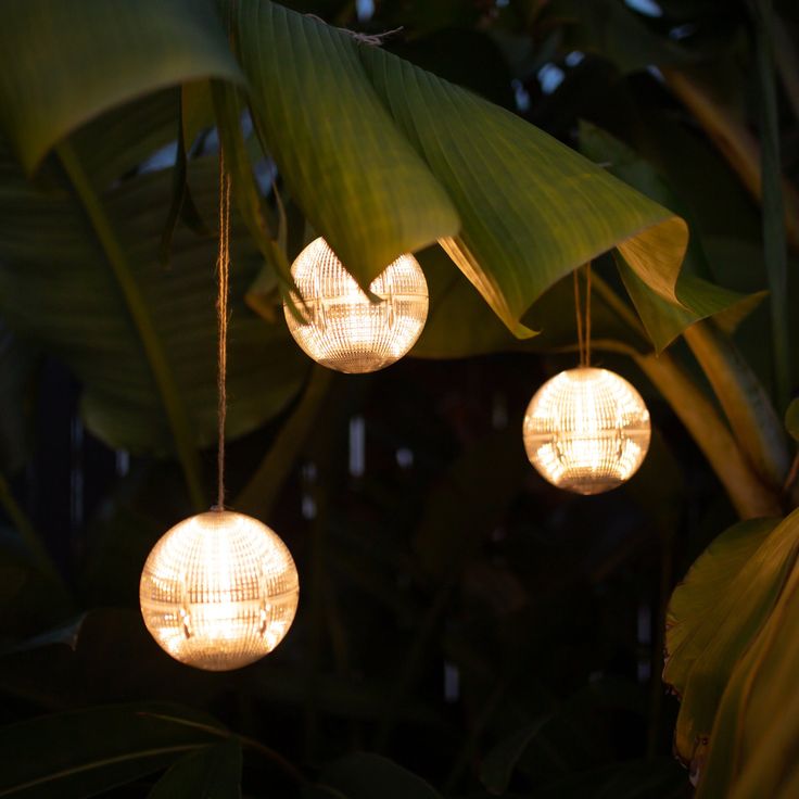 three round lights hanging from a tree in the night time with green leaves around them