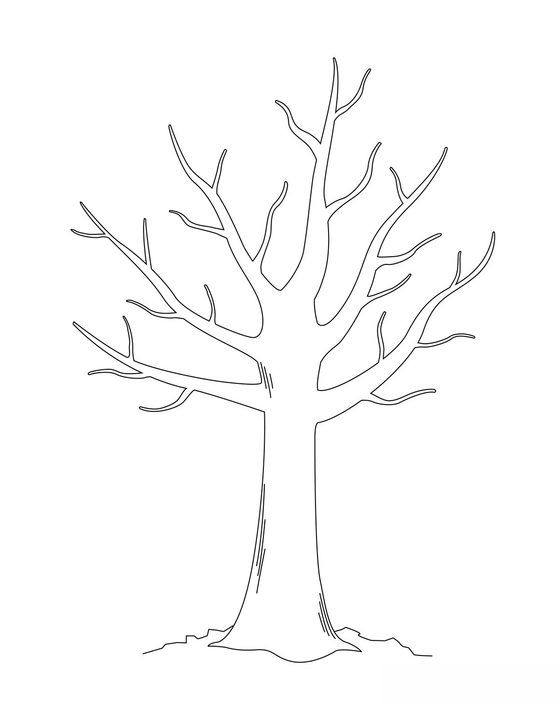 a drawing of a tree with no leaves