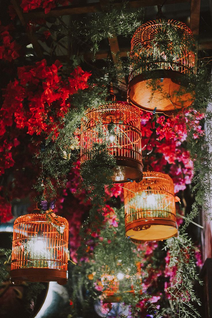 several birdcages hanging from the ceiling in front of flowers