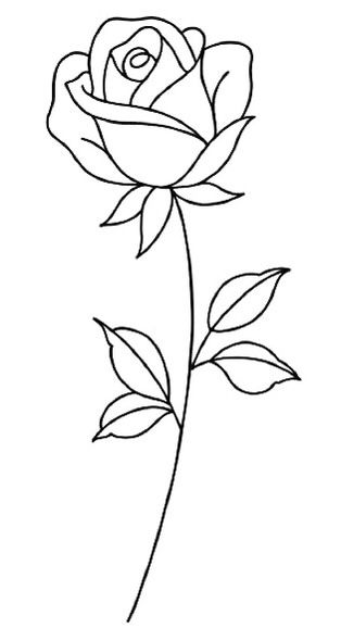 the outline of a rose on a white background