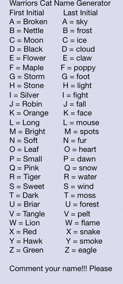 the names and numbers of different types of words