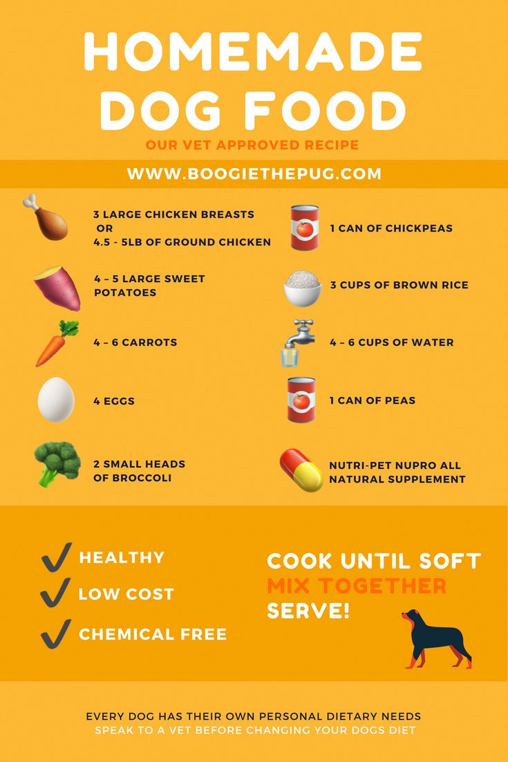 an info sheet describing the benefits of homemade dog food for dogs and their health needs