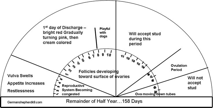 a circular diagram with the words and numbers on it