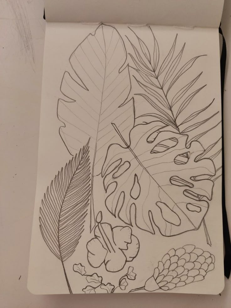 a drawing of leaves and acorns on a sheet of paper with black marker