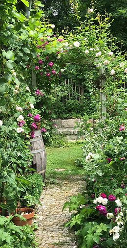 a garden filled with lots of different types of flowers