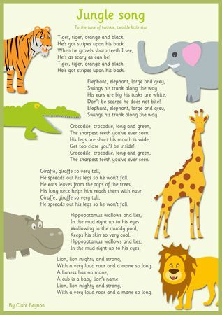 an animal song with pictures of different animals and words in the center that say jungle song