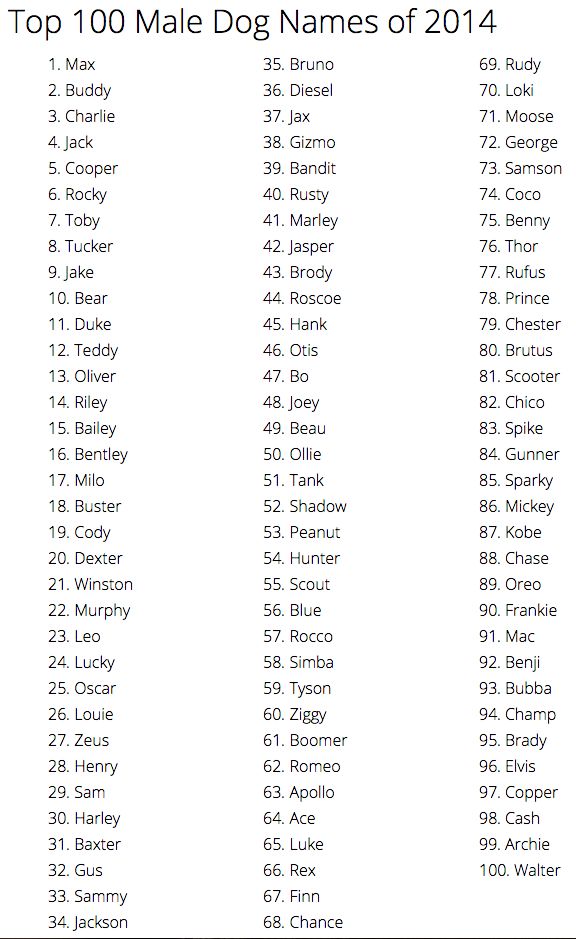 the top 100 male dog names of 2014, with their respective dogs and name tags