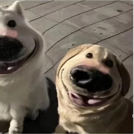 two dogs sitting next to each other on a brick floor and one has its mouth open