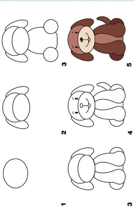 how to draw a teddy bear step by step with pictures and instructions for children in this book