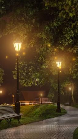 an empty park bench in the middle of a walkway at night with street lights on