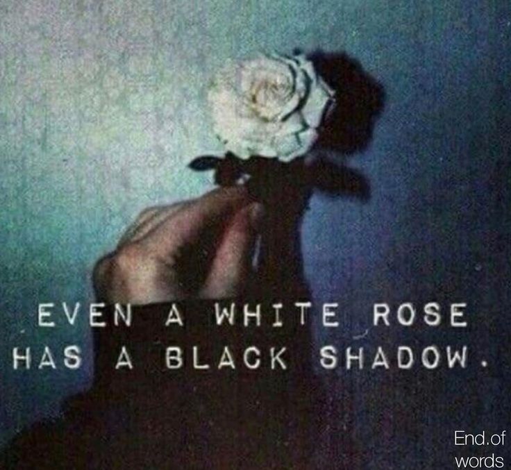 a hand holding a white rose with the words even a white rose has a black shadow