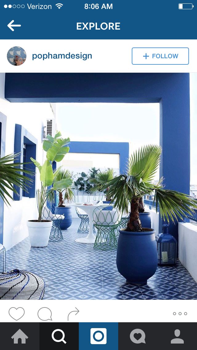 there are many potted plants on the outside of this room, and one is blue