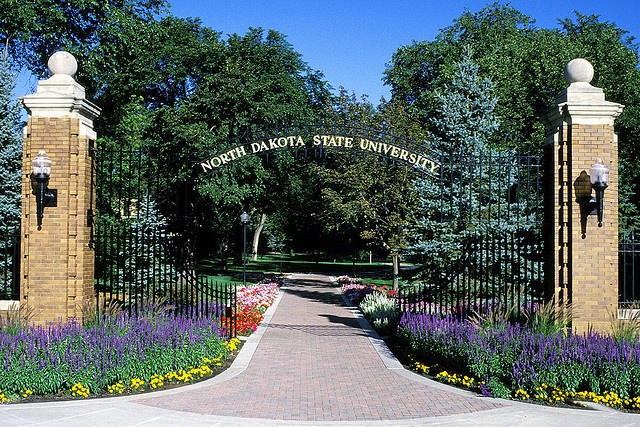 an entrance to the north carolina state university campus with flowers and trees in the background