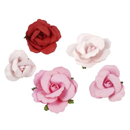 four different types of flowers on a white background with one red and one pink rose