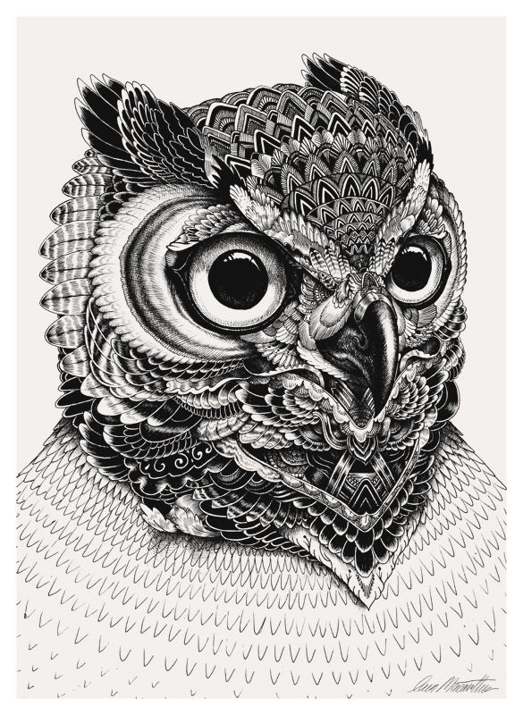 an owl is shown in black and white