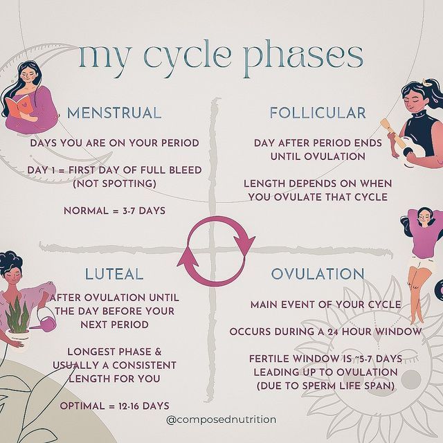 Cycle Awareness, Menstrual Phases, Increase Progesterone, Cycle Phases, Fertility Support, Menstrual Cycle Phases, Period Cycle, Fertility Nutrition, Cycle Syncing