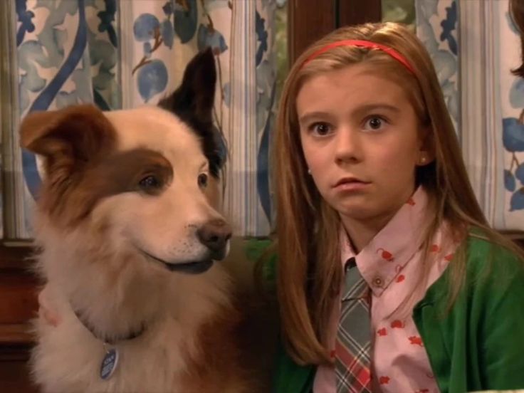 Dog With A Blog Avery, G Hannelius, Dog With A Blog, Childhood Memories 90s, Teen Tv, Disney Channel, Nickelodeon, Childhood Memories, Favorite Tv Shows