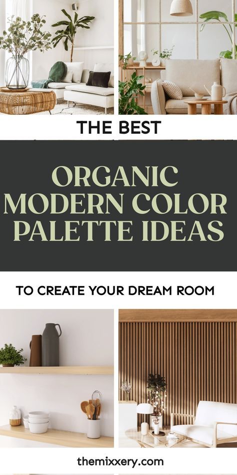 the best organic modern color palettes to create your dream room