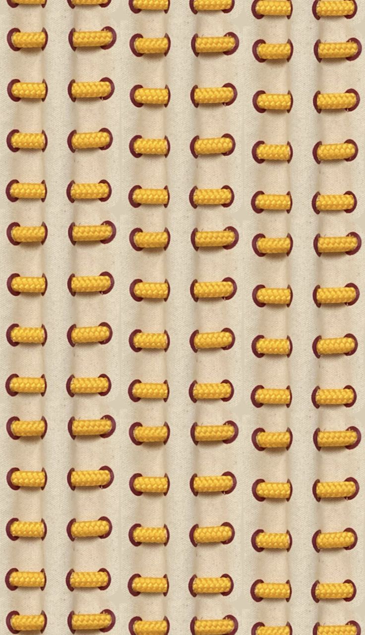 corn on the cob are arranged in rows against a white background with red dots