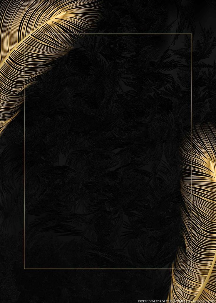 golden feathers on a black background with a square frame