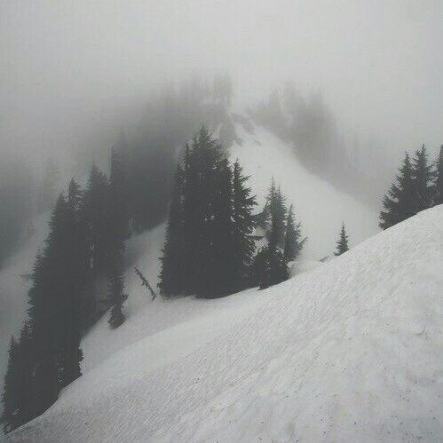 a snowboarder is going down a snowy hill with evergreen trees in the background