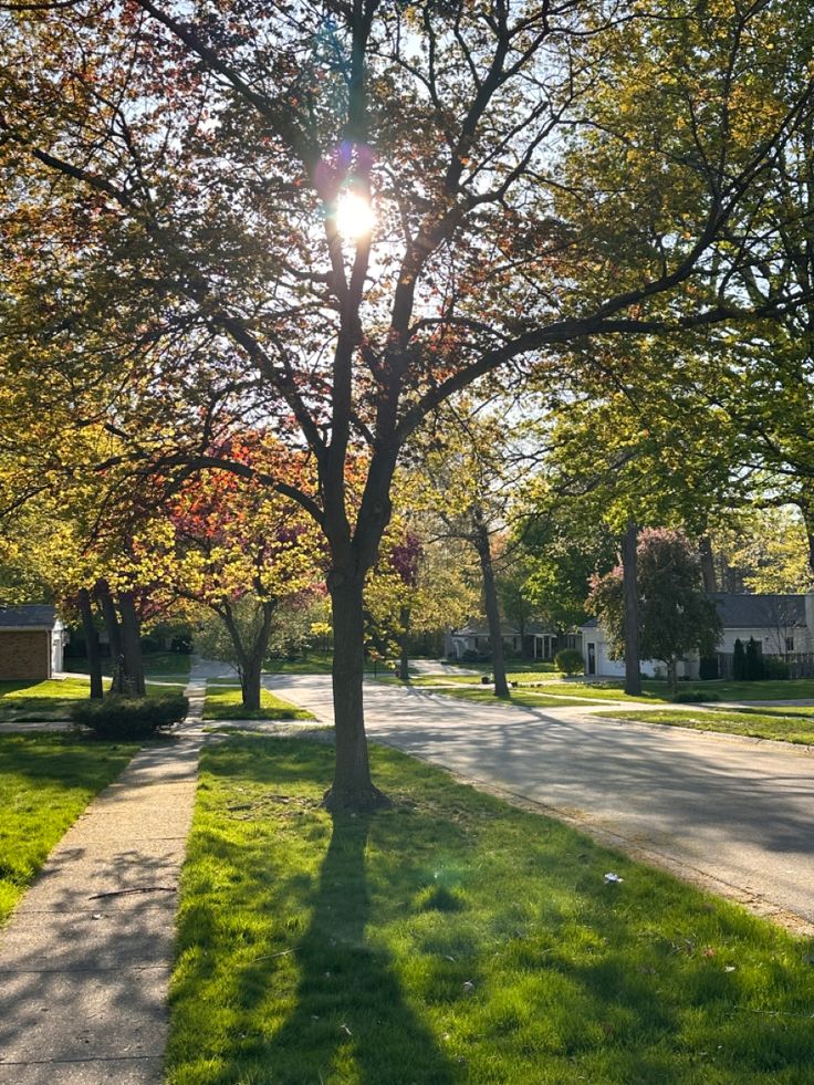 the sun shines brightly through the trees on this suburban street lined with houses and green grass