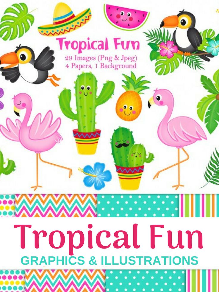 I love these Tropical Fun clip art graphics! So cuter for summer crafts ...